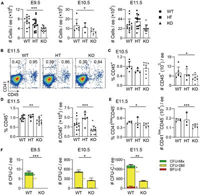 Wild-Type p53-Induced Phosphatase 1 Plays a Positive Role in Hematopoiesis in the Mouse Embryonic Head